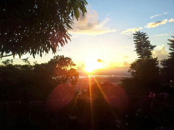 Signature Skys Guest Apartments Kingston Esterno foto